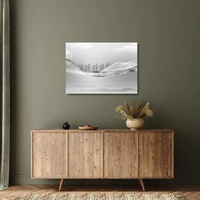 Kép - ezüst táj (üvegen) (70x50 cm)