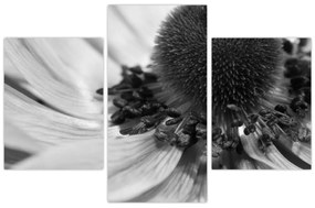 Kép - Virág fekete-fehérben (90x60 cm)