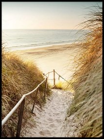 Poszter 40x50 homok tenger ösvény dűne fű fotó