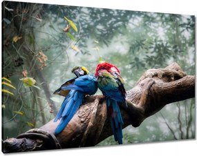 Vászonkép 100x70 Szerelmes papagájok