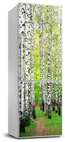 Matrica hűtőre Nyírfa erdő FridgeStick-70x190-f-45594728