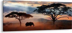 Kép - Serengeti Nemzeti Park, Tanzánia, Afrika (120x50 cm)