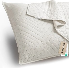 Mikroszálas párnahuzat szett 2 db-os 45x45 cm Softa – Restilo