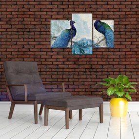 Kép - Pávák textúrákkal (90x60 cm)