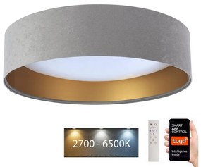 BPS Koncept LED Mennyezeti lámpa SMART GALAXY LED/36W/230V Wi-Fi Tuya szürke/arany + távirányító BS0520