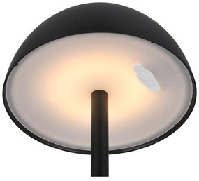 Dimmelhető kültéri lámpa ø 13,5 cm Ricardo – Trio