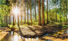 Flizelin tapéta Divatos 3D fali ragasztó Erdei idill 416x254 ragasztó