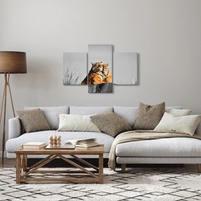Kép - Tigris és a kölyke, fekete-fehér változat (90x60 cm)