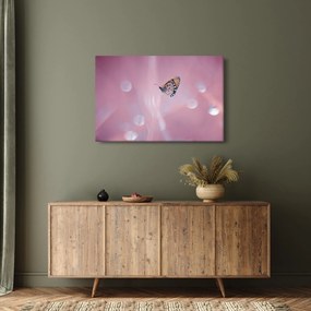 Kép - Pillangó (90x60 cm)