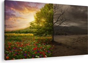 Kép - Életciklus (90x60 cm)