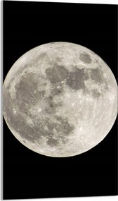 Üveg Vágódeszka 30x52 Hold a Konyhába