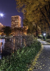 Poszter 21x29,7cm Esti kilátás a New York-i Central Parkra 8, Assaf Fra