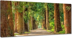 Festmények 180x90 Tájkép