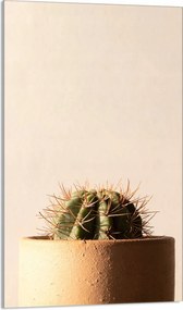 Üveg Vágódeszka 30x52 Kaktusz A Konyhába