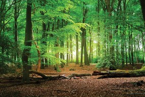 Vinyl flizelin erdő tapéta tavaszi zöldben Méretre Szabva