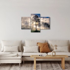 Fa a ködben képe (90x60 cm)