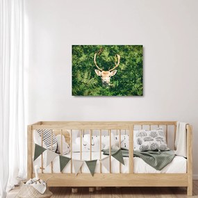 Kép - őz fej részlete (üvegen) (70x50 cm)