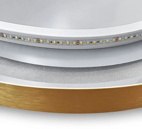 Tükör LED OLL 60x90 cm Brush Gold