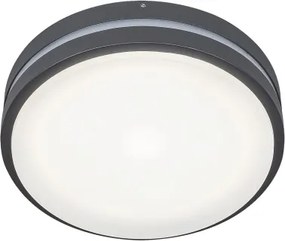 Rabalux 8847 - LED Kültéri fali lámpa HAMBURG LED/10W/230V IP44