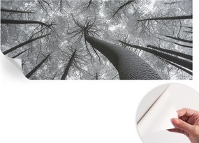 Öntapadós fotótapéta Nappali és Hálószoba Irodába Téli tájkép 250x104