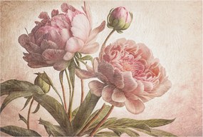 Fali fotótapéta előszoba konyhába Finom bazsarózsa 104x70 ragasztó