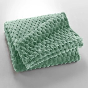 Világoszöld mikroflanel takaró 125x150 cm Mini Frosty – douceur d'intérieur