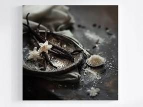 Vászonkép Canvas Konyha Főzés Étel Fűszerek Vanília 40x40