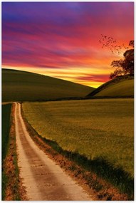 Poszterek 80x120 Naplemente Hegyek Fa