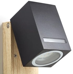 Brilliant - Kültéri fali lámpa GALENI 1xGU10/20W/230V IP44