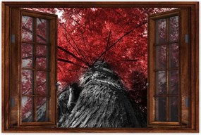 Poszterek 60x40 mamutfenyő Magas fa