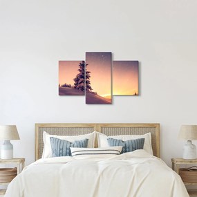 Havas fa egy réten képe (90x60 cm)