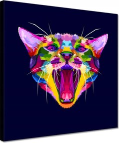 Vászonkép 30x30 Cica Cicák