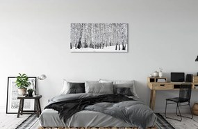 Canvas képek Téli nyírfák 100x50 cm