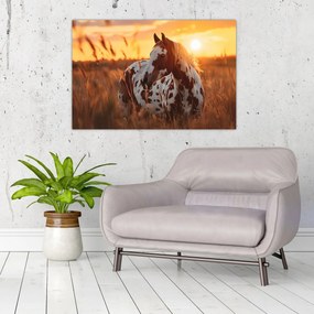 Kép - Ló naplementében (90x60 cm)