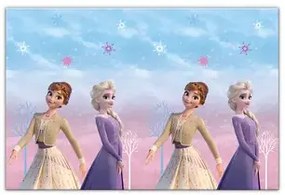 Disney Jégvarázs Wind műanyag asztalterítő 120x180 cm