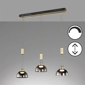 Fischer & Honsel modern függeszték avignon bézs fekete szürke fhl61014