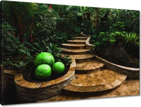 Vászonkép 90x60 Golyók a trópusokon
