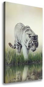 Vászonkép Fehér tigris ocv-84071201