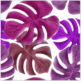 Poszterek 30x30 Monstera Levelek Lila
