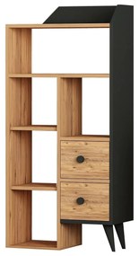 Regál Dekube 1 (atlanti fenyő + fekete)  . 1092990