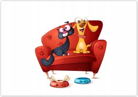 Poszterek 100x70 Cica Cicák Macskák