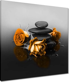 Vászonkép 60x60 Narancssárga rózsa Spa