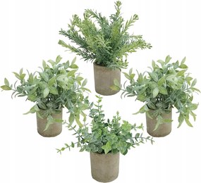 Művirágok Eukaliptusz Cserépben 4DB-OS Szett Boho Olajfa