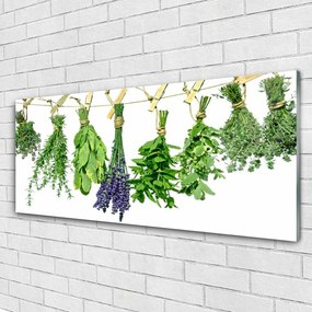 Fali üvegkép Szirmok virágok Gyógynövények 125x50 cm