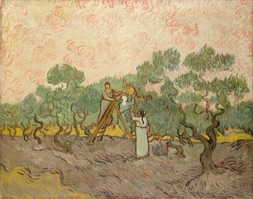 Reprodukció The Olive Pickers, Saint-Remy, 1889, Vincent van Gogh