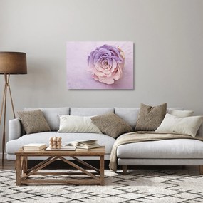 Egy rózsa virág részlete (üvegen) (70x50 cm)