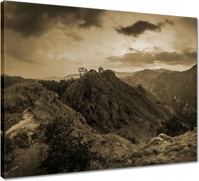 Vászonkép 50x40 Barna tájkép Tájkép