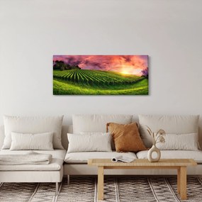 Szőlőskert és a színes égbolt képe (120x50 cm)