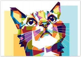 Fotótapéták 208x146 Absztrakt macska