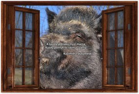 Poszterek 60x40 Kazik Idézet Politikusok